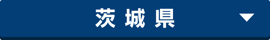 茨 城 県